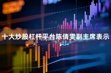 十大炒股杠杆平台　　陈倩雯副主席表示